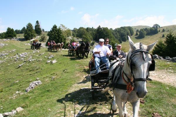 Campeggio Branchetto Hotel บอสโก เคียซานูโอวา ภายนอก รูปภาพ